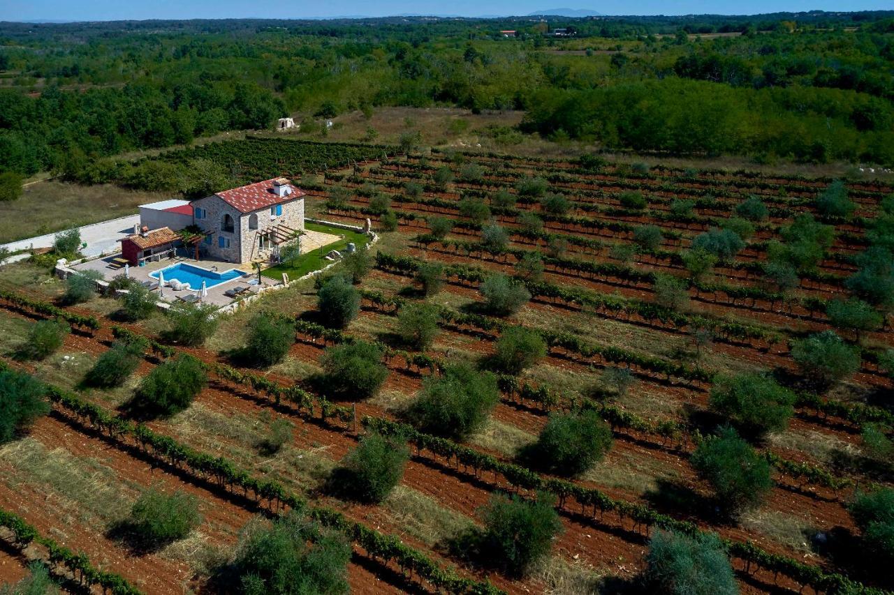 Relax House Surrounded By Olives And Vineyard Villa Stifanici Luaran gambar