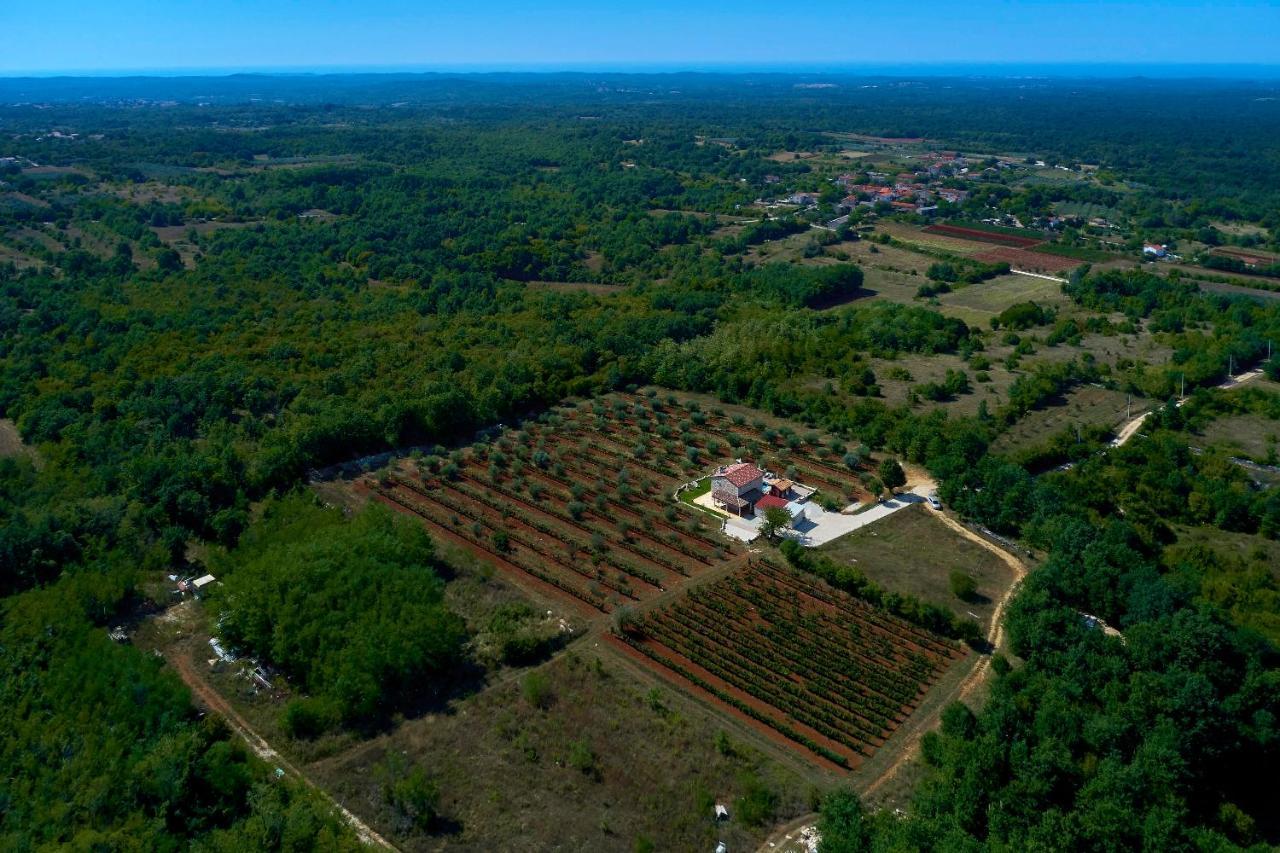 Relax House Surrounded By Olives And Vineyard Villa Stifanici Luaran gambar